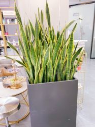 -FUTURE HN男士发型风格设计