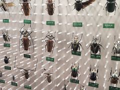 -国家自然博物馆