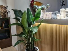 -冰拾叁(新都店)