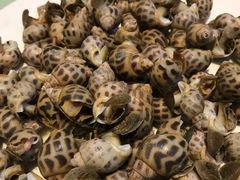 -京港生鲜(四道口店)