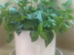 -中国农业银行(南京秦淮支行营业部)