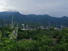 -白水寺森林公园