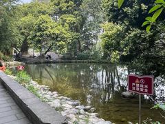 -成都市活水公园