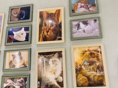 -藏猫猫咖啡主题馆(中央大道店)