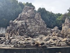 -合肥野生动物园