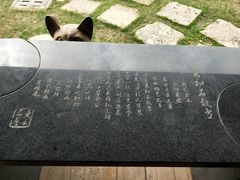 -惠和石文化园