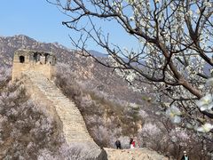 -龙泉峪长城