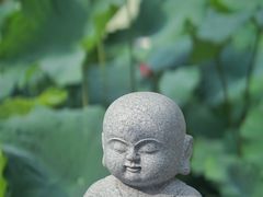 -古德寺素菜馆