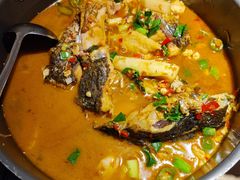 -佬肥猫(七宝宝龙店)