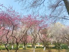 -杭州植物园