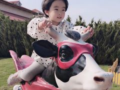 -君乐宝优致牧场