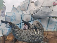 -海合安成都极地海洋公园
