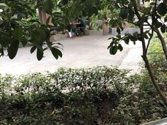 -沈坚强游泳俱乐部(长征分部)