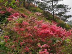 -木兰云雾山