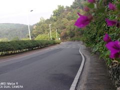-火炉山森林公园