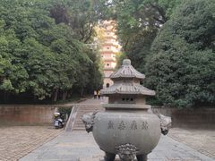 -灵谷景区