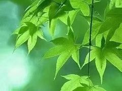 -宝岛眼镜·星创视光中心(百联世纪购物中心店)