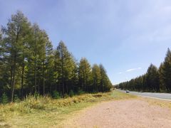 -塞罕坝国家级自然保护区