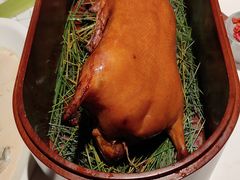 -鹿园 MOOSE(长宁店)