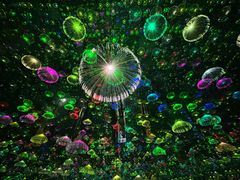 -郑州梵高星空错觉艺术馆(大上海城旗舰店)
