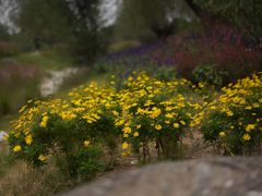 -汉长安城未央宫国家考古遗址公园