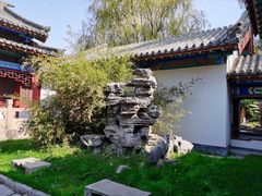 -百脉泉景区