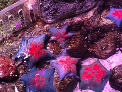 -沈阳海洋探索中心