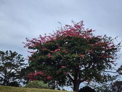 -广州莲花山旅游区