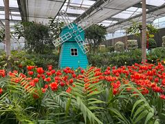 -南宫五洲植物乐园