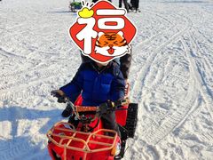 -绿野森林乐园冰雪季