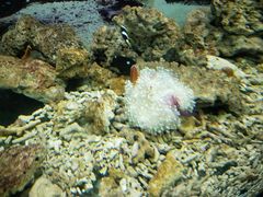 -泉州海丝野生动物世界