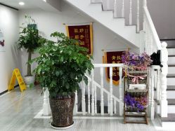 点击看大图 -痘博士昆明·国际祛痘领跑品牌