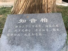-仓颉庙