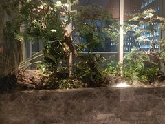 -海立阁海鲜江浙菜(漕河泾印象城店)