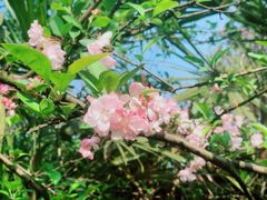 -重庆平顶山公园
