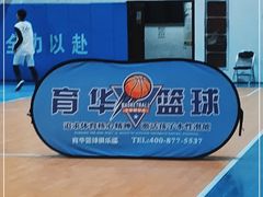 -育华篮球培训(新华路校区)