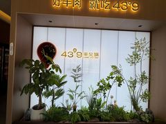 -蒙都43°9羊火锅·赤峰美食(桥北店)