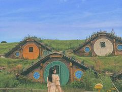 -武汉紫薇都市田园