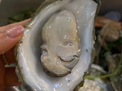 -土蚝·高压锅生蚝(百姓美食街店)