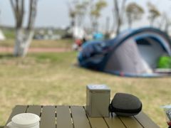 -春花秋色城市公园