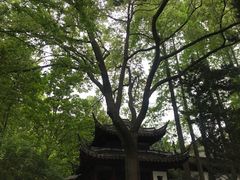 -汇龙潭