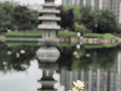 -木塔寺遗址生态公园