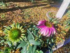 -北京国家会计学院