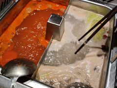 -龙凤禧毛肚火锅(阳光舜城店)