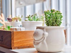 -吃饼人西餐(南开店)