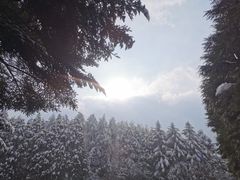 -四明山国家森林公园