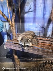 -酷嗒动物文化乐园(cutezoo西溪乐天城店)