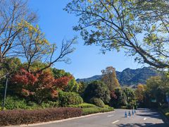 -浙江安吉JW万豪酒店·万豪中餐厅