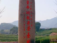 -龙坞茶村