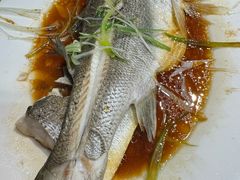 -百年银屏蚝烙·潮汕菜·非遗(乐山店)